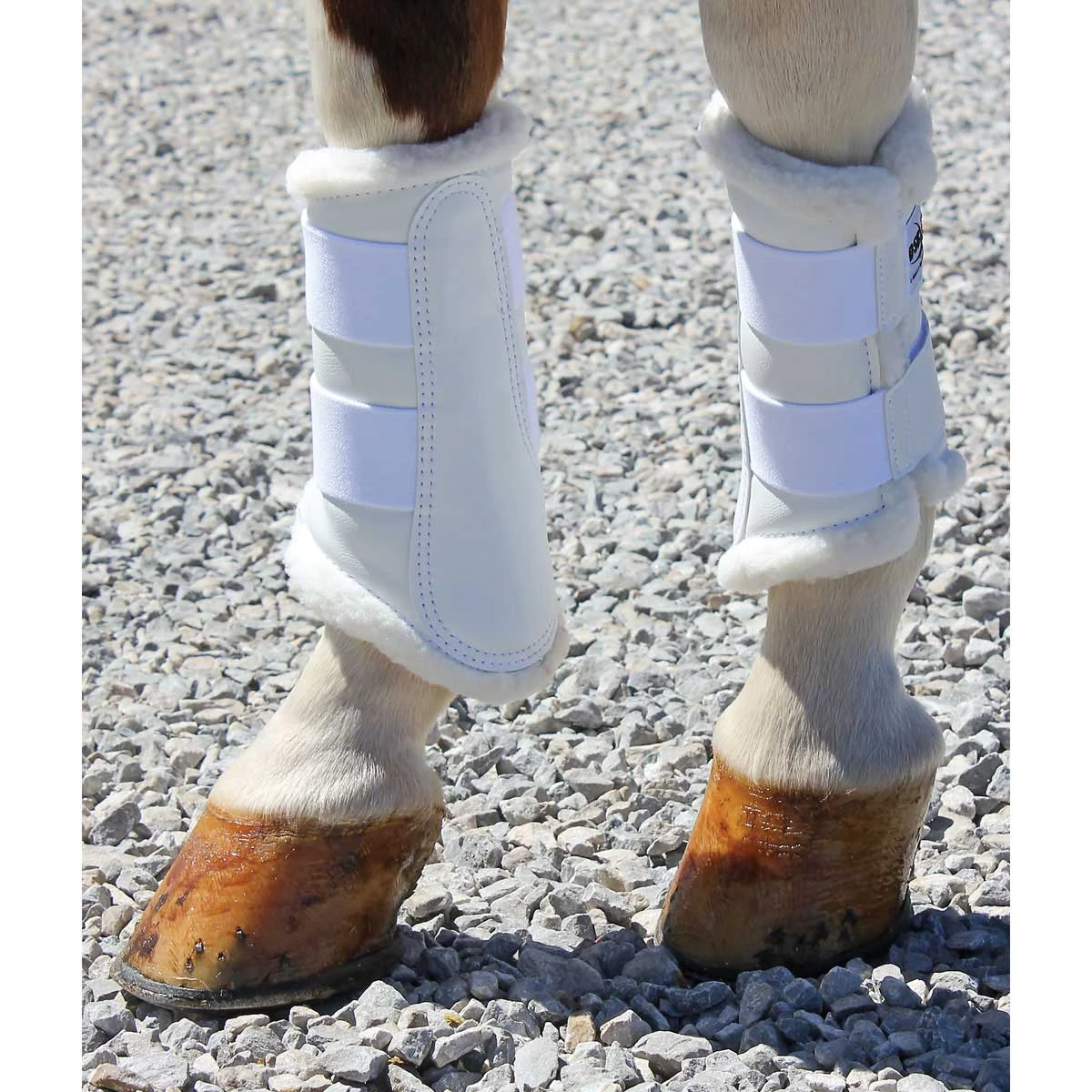 DSB Dressage Sport Boot 2 DSB Dressage Sport Boot - Image 2