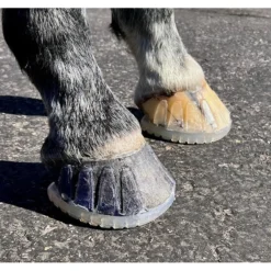 EasyShoe Versa Grip Octo Front Shoe Pair 9 EasyShoe Versa Grip Octo Front Shoe Pair -Equestrian Supplies Sale esvgo 5 39d231a6 db38 415b 8f57 7515ab47b0cc