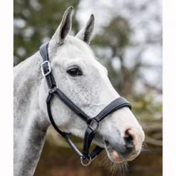 LeMieux Stitched Anatomical Leather Halter -Equestrian Supplies Sale it00882 c1105 alt3