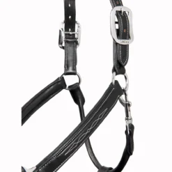 LeMieux Stitched Anatomical Leather Halter -Equestrian Supplies Sale it00882 c1105 alt4
