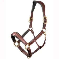 LeMieux Stitched Anatomical Leather Halter -Equestrian Supplies Sale it00882 c1109 alt1