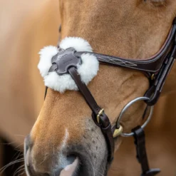 LeMieux Grackle Figure-8 Bridle -Equestrian Supplies Sale it02644 1109 alt2