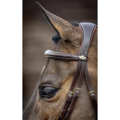 LeMieux Competition Flash Bridle -Equestrian Supplies Sale it02645 c1109 alt3