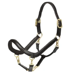 Lemieux LeMeux Leather Grooming Halter
