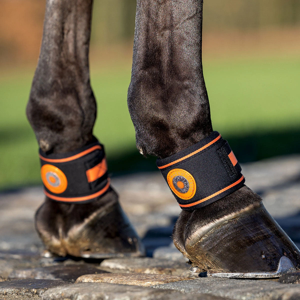 LeMieux Conductive MagnoTherapy Pastern Wrap 2 LeMieux Conductive MagnoTherapy Pastern Wrap - Image 2