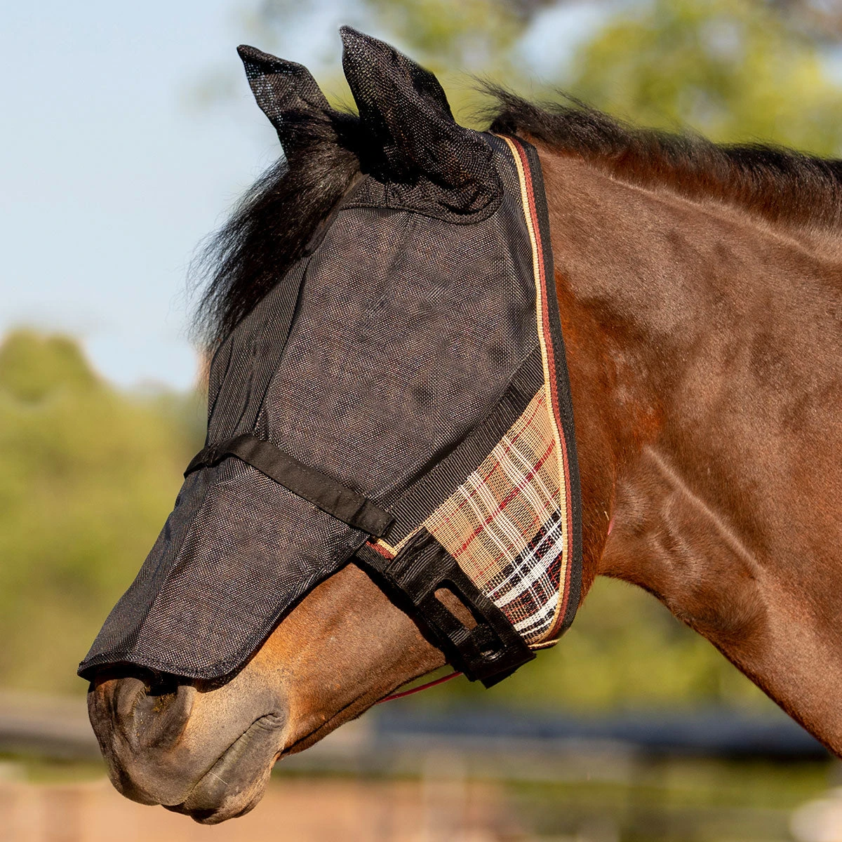 Kensington Uviator CatchMask Long Nose With Ears 1 Kensington Uviator CatchMask Long Nose With Ears