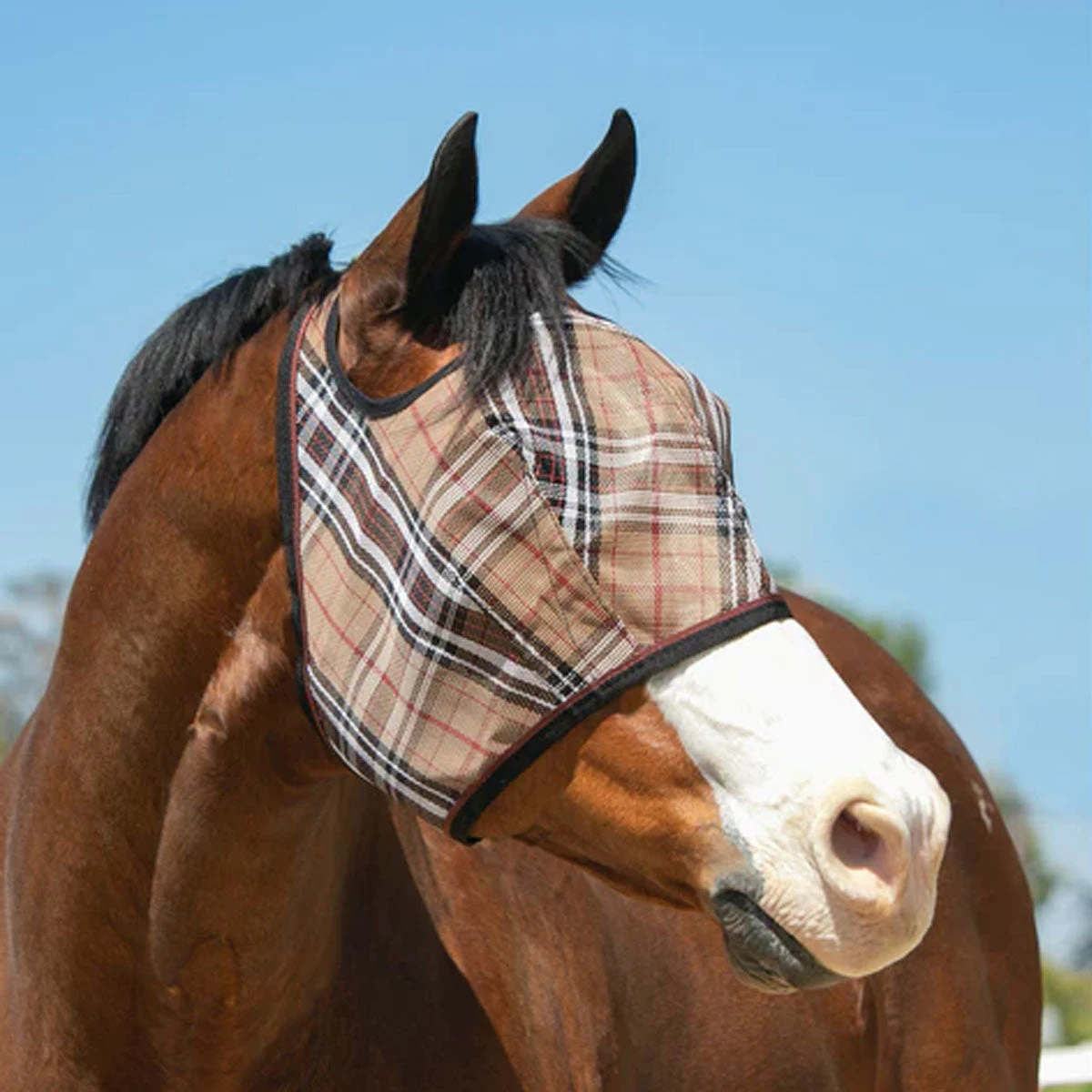 Kensington Signature Fly Mask With Web Trim 2 Kensington Signature Fly Mask With Web Trim - Image 2