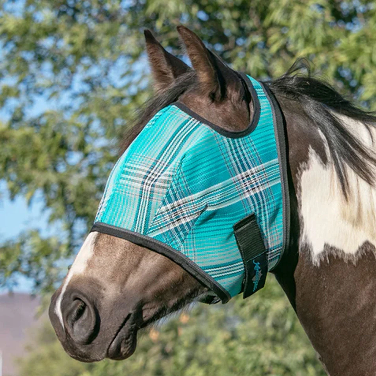 Kensington Signature Fly Mask With Web Trim 1 Kensington Signature Fly Mask With Web Trim