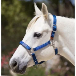 Kensington Breakaway Halter With Padded Nose 5 Kensington Breakaway Halter With Padded Nose -Equestrian Supplies Sale khsb c1106