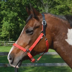 Country Pride Breakaway Nylon Halter 9 Country Pride Breakaway Nylon Halter -Equestrian Supplies Sale ktl1852 c1158