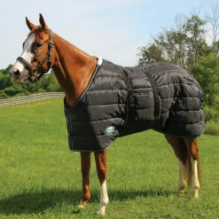 Country Pride Closed Front Midweight Quilted Stable Blanket