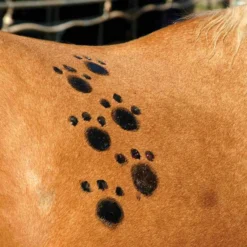 Tail Tamer Pony Paints 4 Oz 14 Tail Tamer Pony Paints 4 Oz -Equestrian Supplies Sale ppnts c1106 alt1