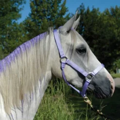 Tail Tamer Pony Paints 4 Oz 15 Tail Tamer Pony Paints 4 Oz -Equestrian Supplies Sale ppnts c1106 alt2